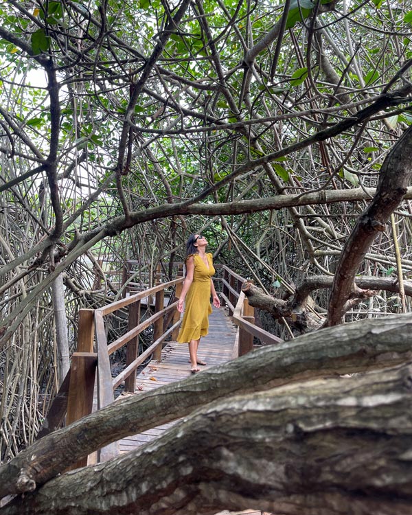 Manglar La Boca